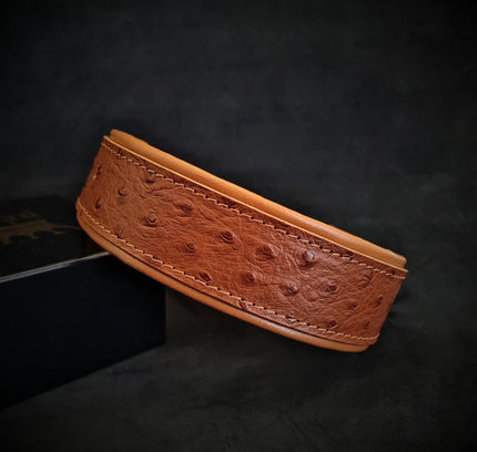 The "Ostrich" collar LIMITED-0