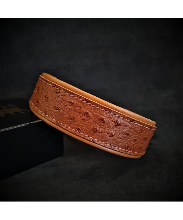 The "Ostrich" collar LIMITED-0
