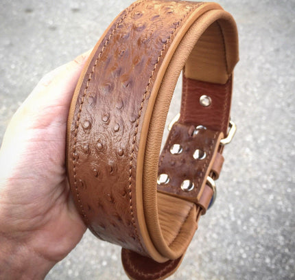 The "Ostrich" collar LIMITED-1