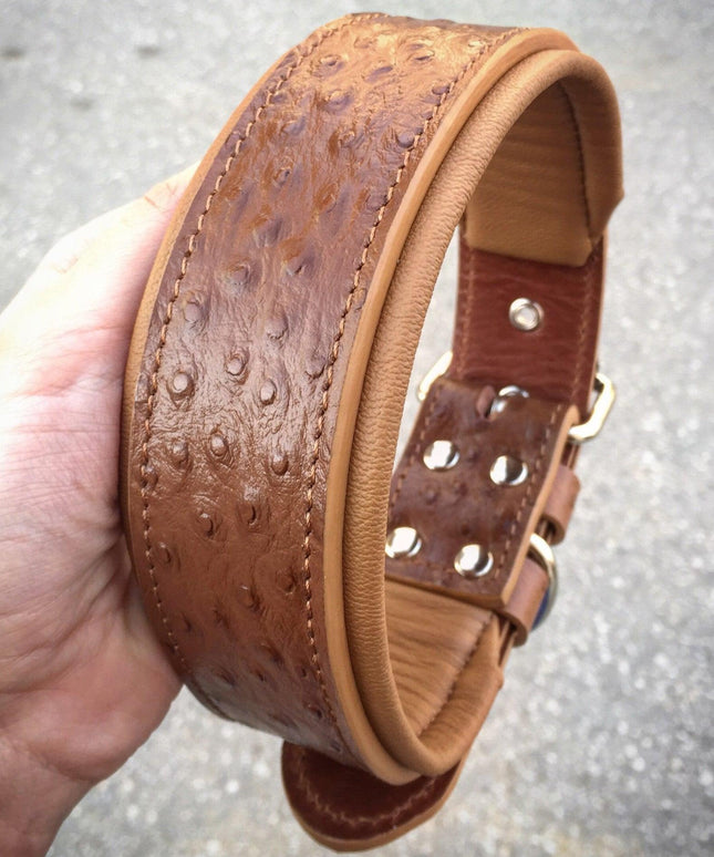 The "Ostrich" collar LIMITED-1