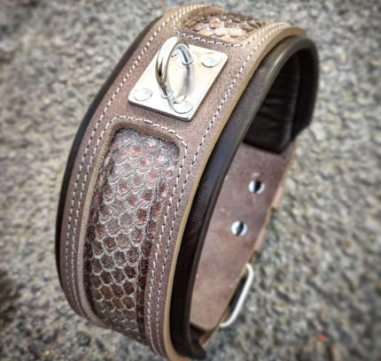 The ''Python'' exclusive design-1