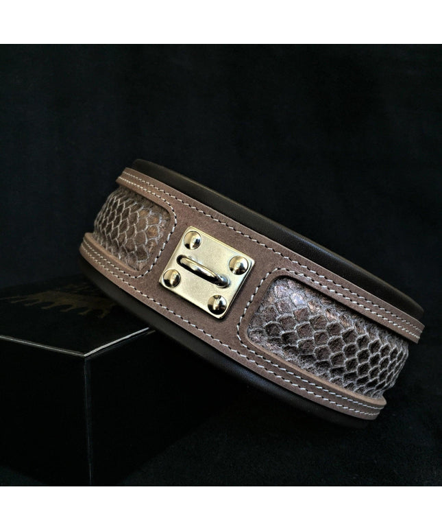The ''Python'' exclusive design-0
