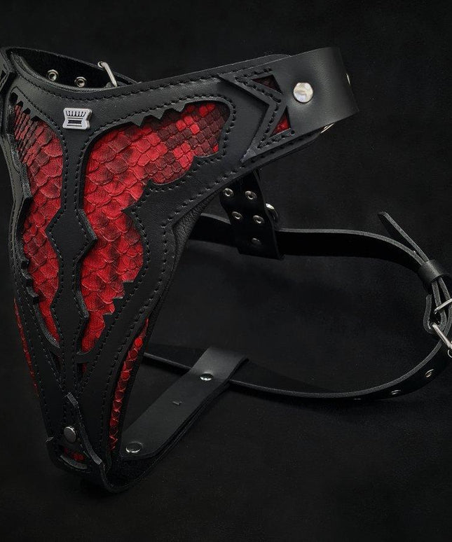 The ''Red Dragon'' harness-1