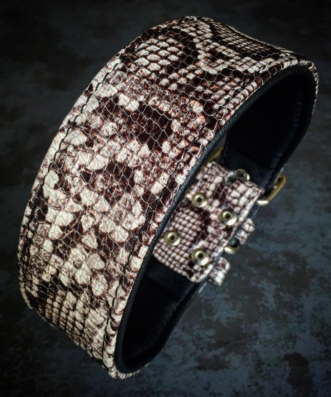The ''Rock Python'' collar-1