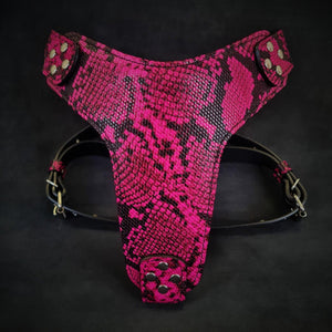 The ''Rock Python'' harnais ROSE