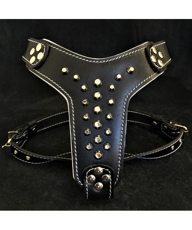 The "Rocky" studded leather harness Small to Medium Size-0