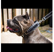 Size M- fits a neck of 42.5 - 50 cm (16.7 to 19.7 inch) / SET- Collar and Leash