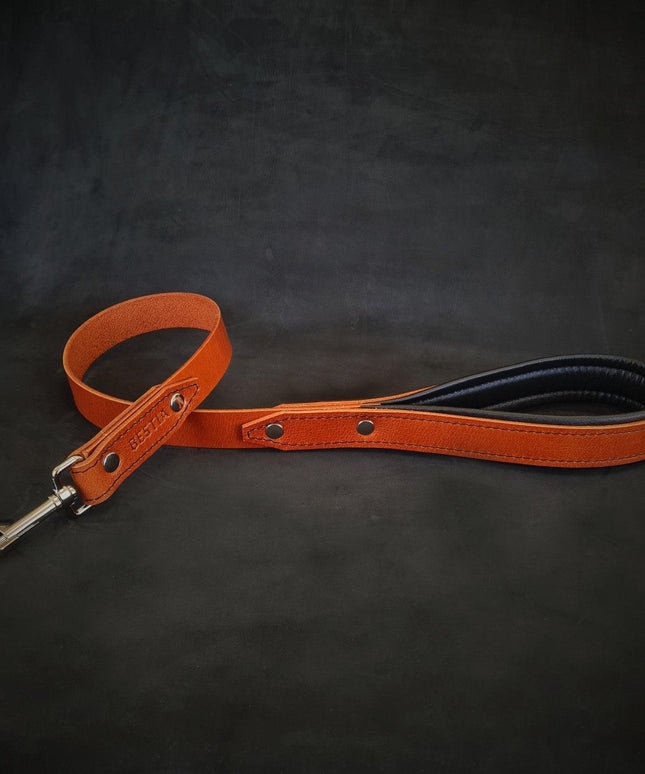The "Style" leash-3