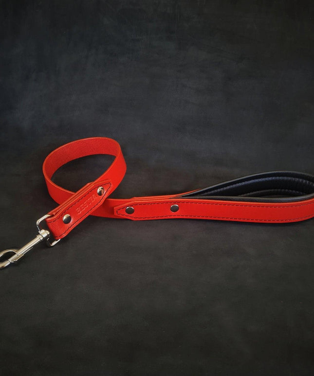 The "Style" leash-1