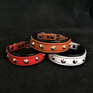 The collier pour chien 