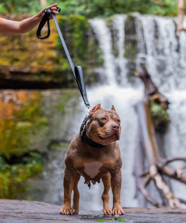 BESTIA DOG SPORT dual handle leash black-4