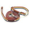 Collar & Lead Set